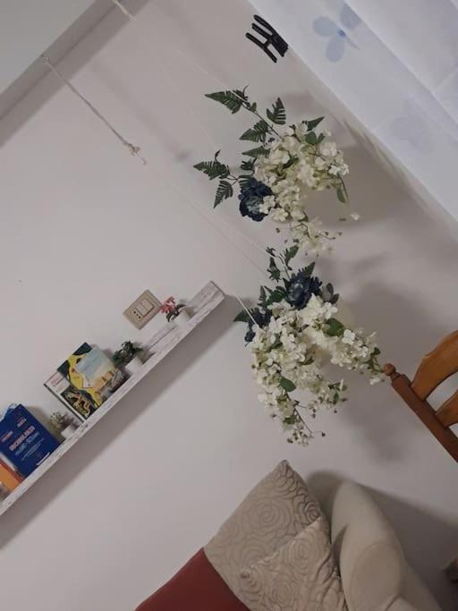 Apartment Affitti Brevi Donna Rosa *